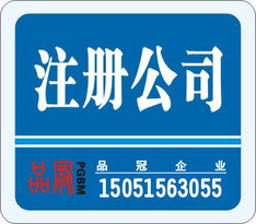 專業(yè)企業(yè)服務(wù) 工商注冊與財(cái)務(wù)咨詢一站式解決方案